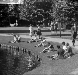 Laatste zomerdag. Zonnebaders in het Vondelpark, Bestanddeelnr 912-9638