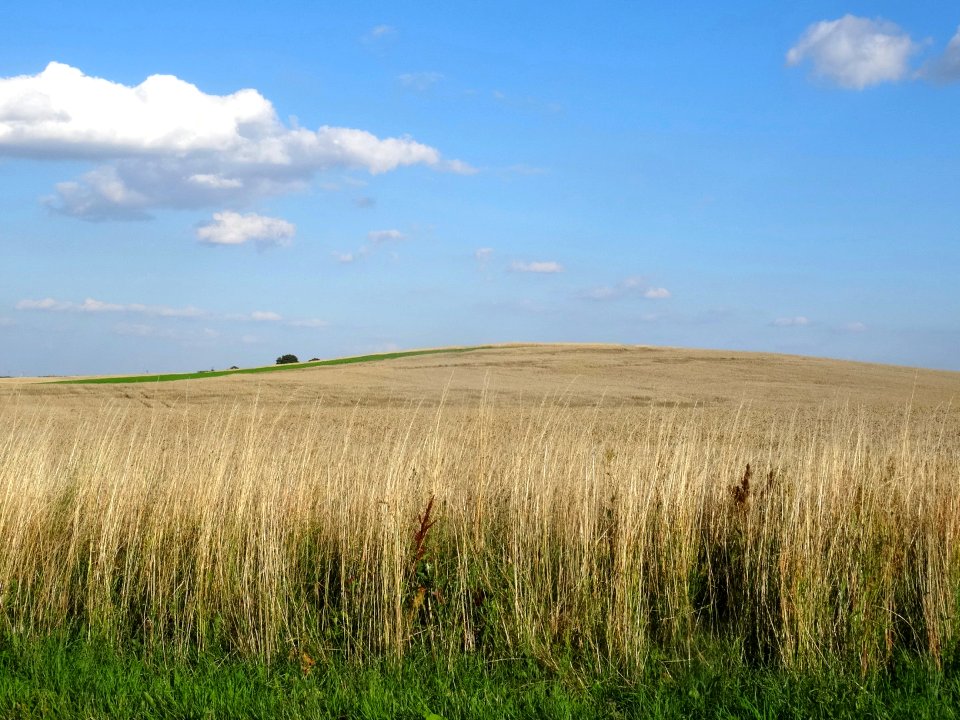Labiszyn wies1