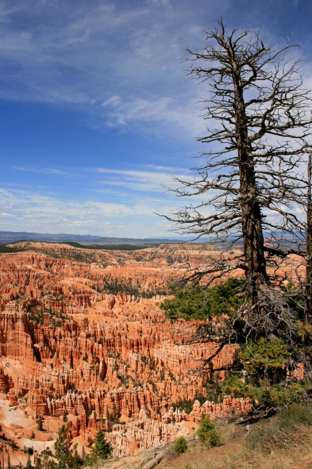 Usa bryce canyon national park
