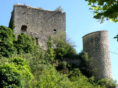 La Roche-sur-le-Buis Château 16