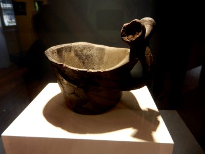 La tazza di Fiavè