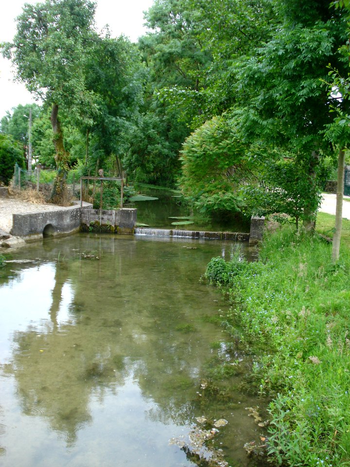 La Sarce à Avirey-Lingey (Aube, Fr)