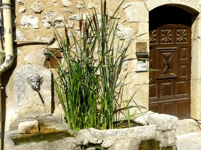 La Roche-sur-le-Buis Chapelle Notre-Dame-de-Pitié 7