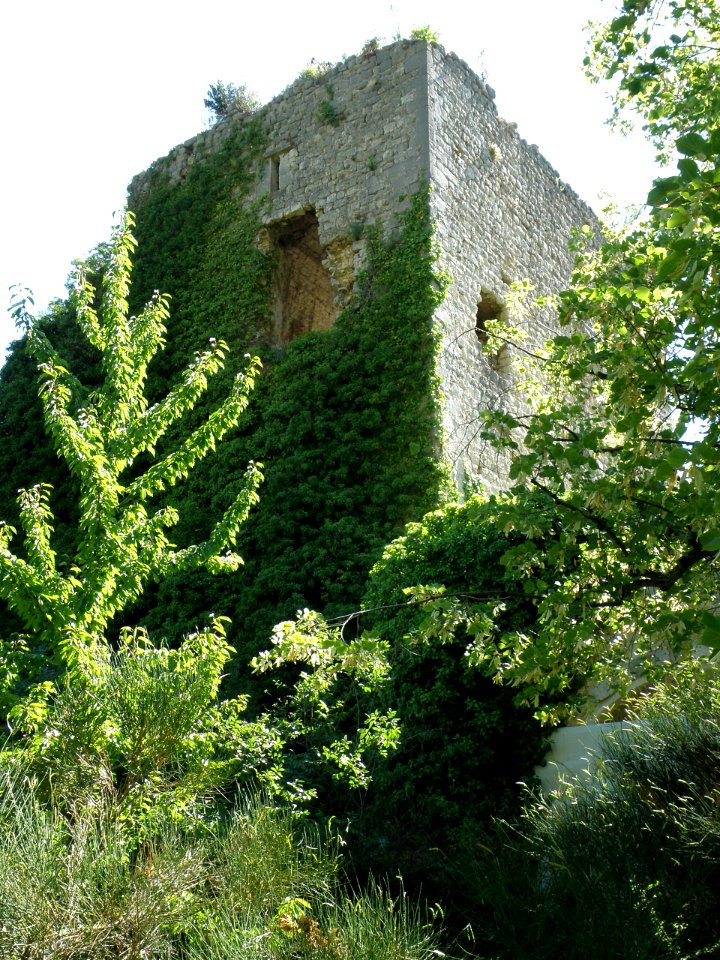 La Roche-sur-le-Buis Château 18