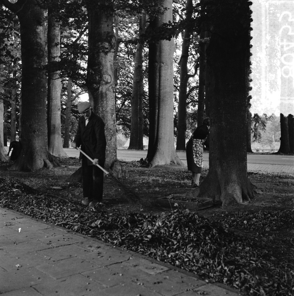 Laatste herfst Harken van bladeren aan de Middachter Allee tussen De Steeg en E, Bestanddeelnr 908-0455