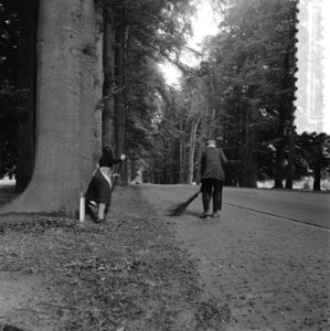 Laatste herfst Vegen van bladeren aan de Middachter Allee tussen De Steeg en El, Bestanddeelnr 908-0458