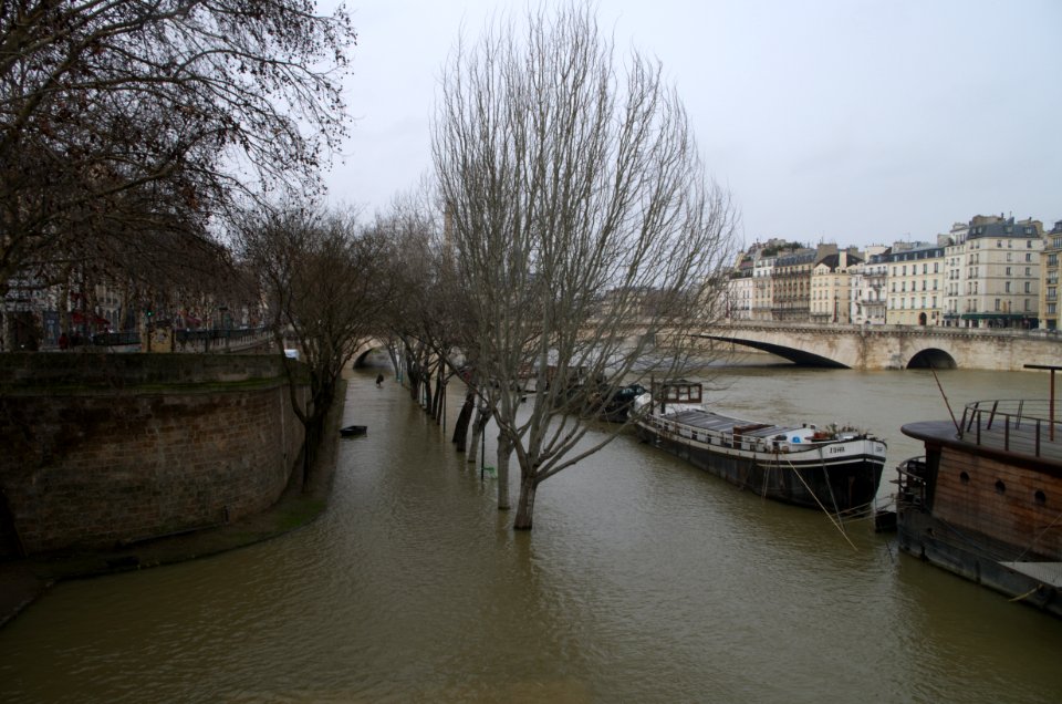La Seine en crue - Pont de la Tournelle