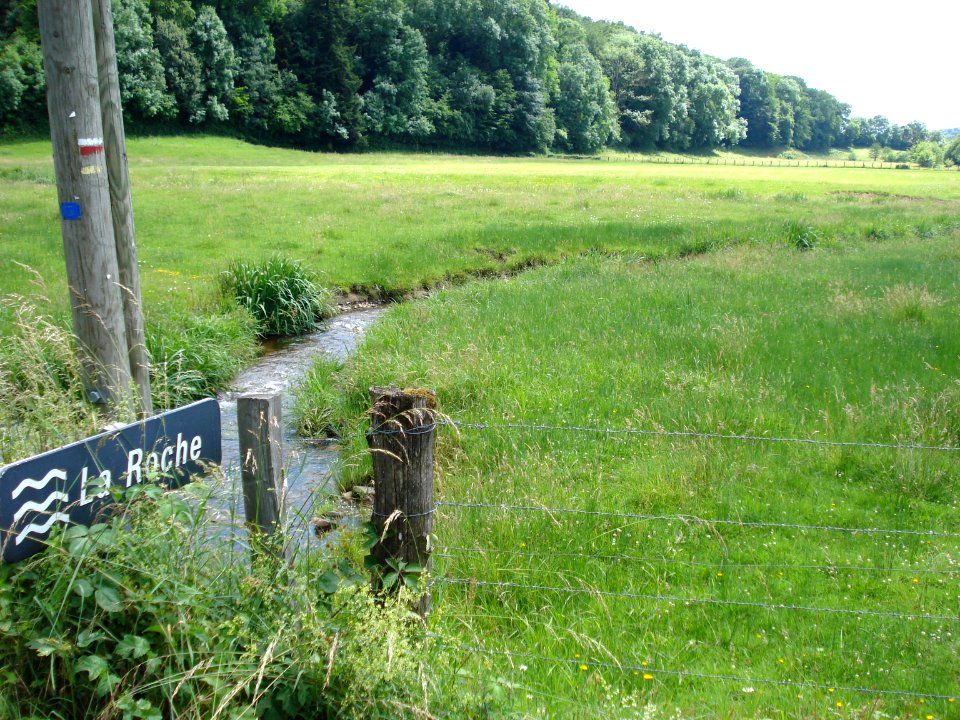 La Roche (rivière) à Larochemillay