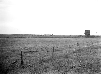 Laagveenontginningen , de linde, Bestanddeelnr 192-1363