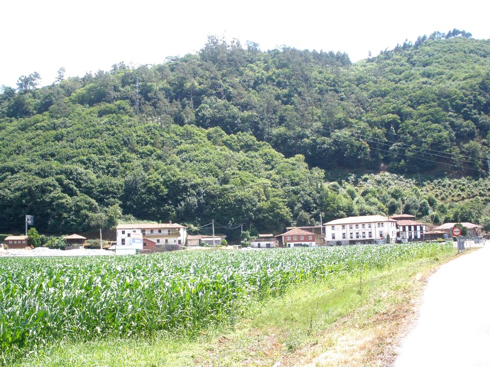 La Rodriga (Salas) 1