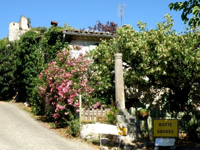 La Roche-sur-le-Buis Vieux bourg 9