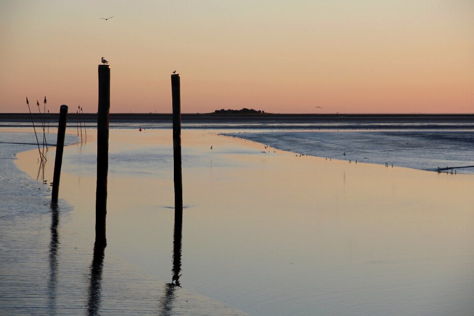 Watts wadden sea coast