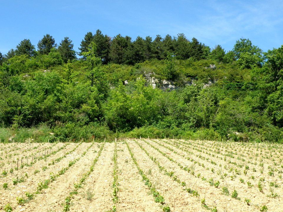 La Rochepot Roches d'Éguison
