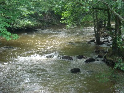 La Sédelle près de Pont Charraud (Creuse, Fr)