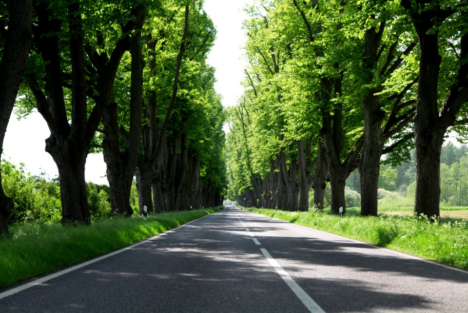 L15 Avenue in Gollmitz 2021-05-29 22