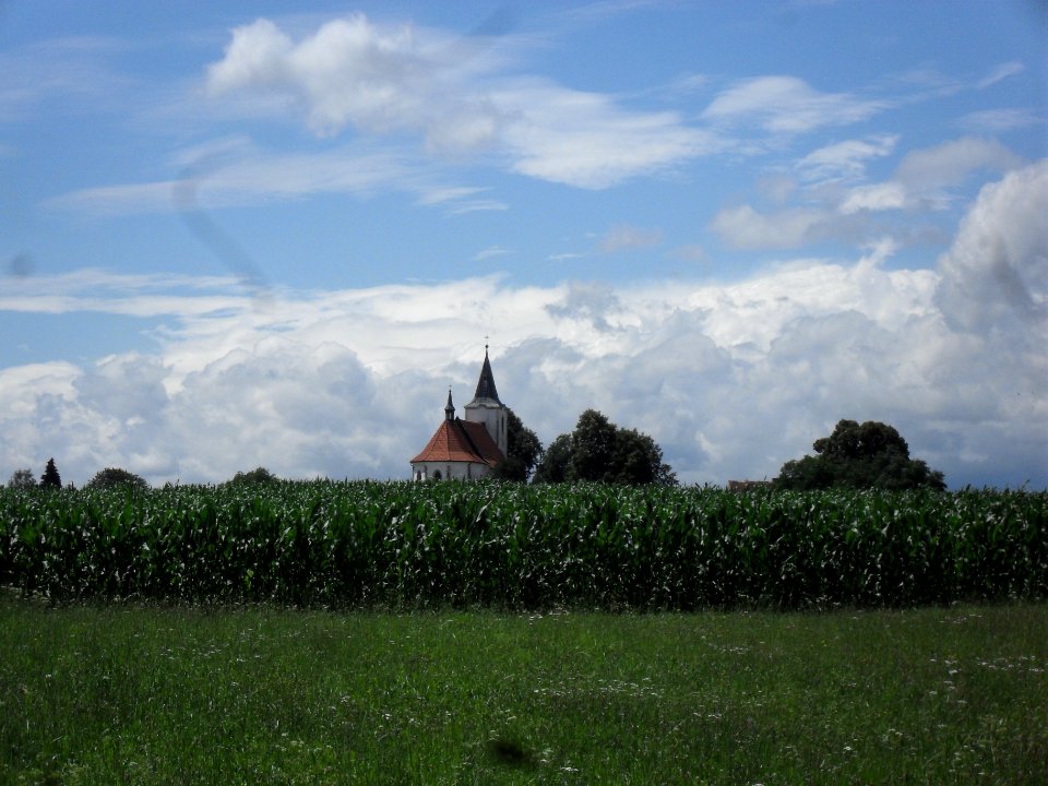 Kvášňovice - kostel z pole