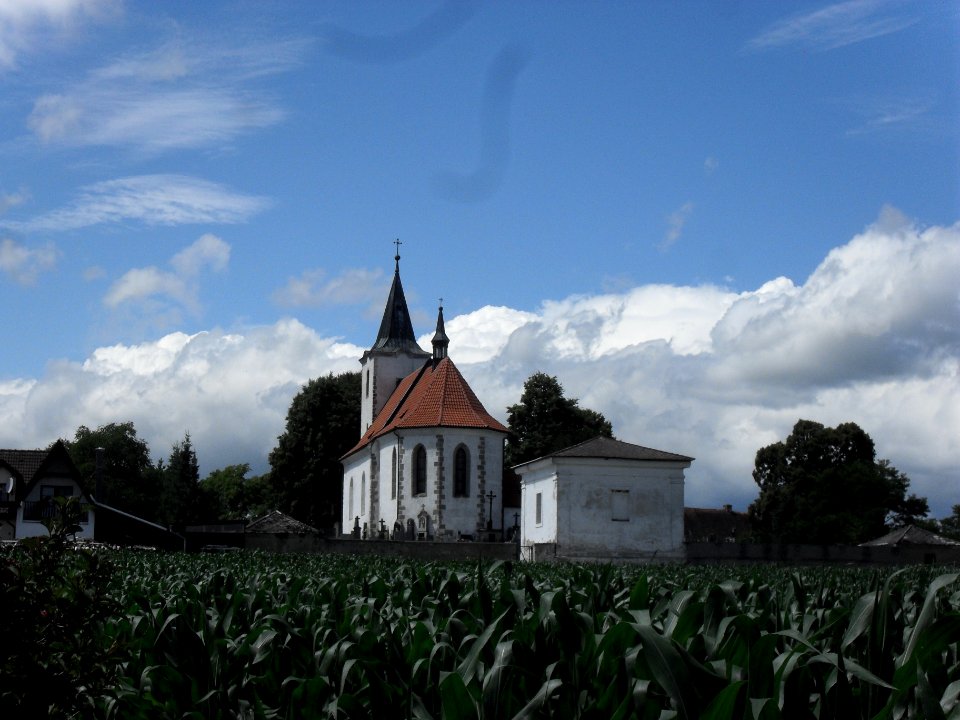 Kvášňovice - kostel a zeď