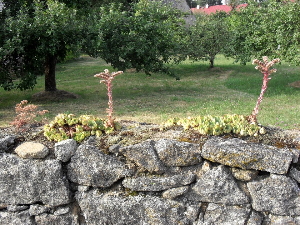 Kvášňovice 26. července 2013 11