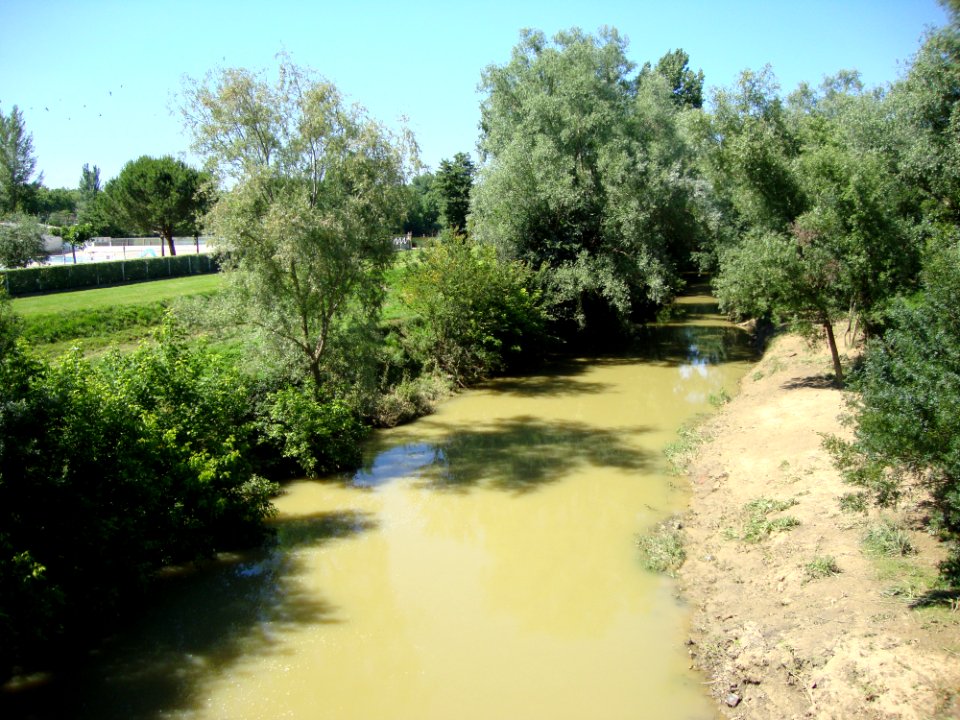 L'Isle-Jourdain (Gers, Fr) la Save