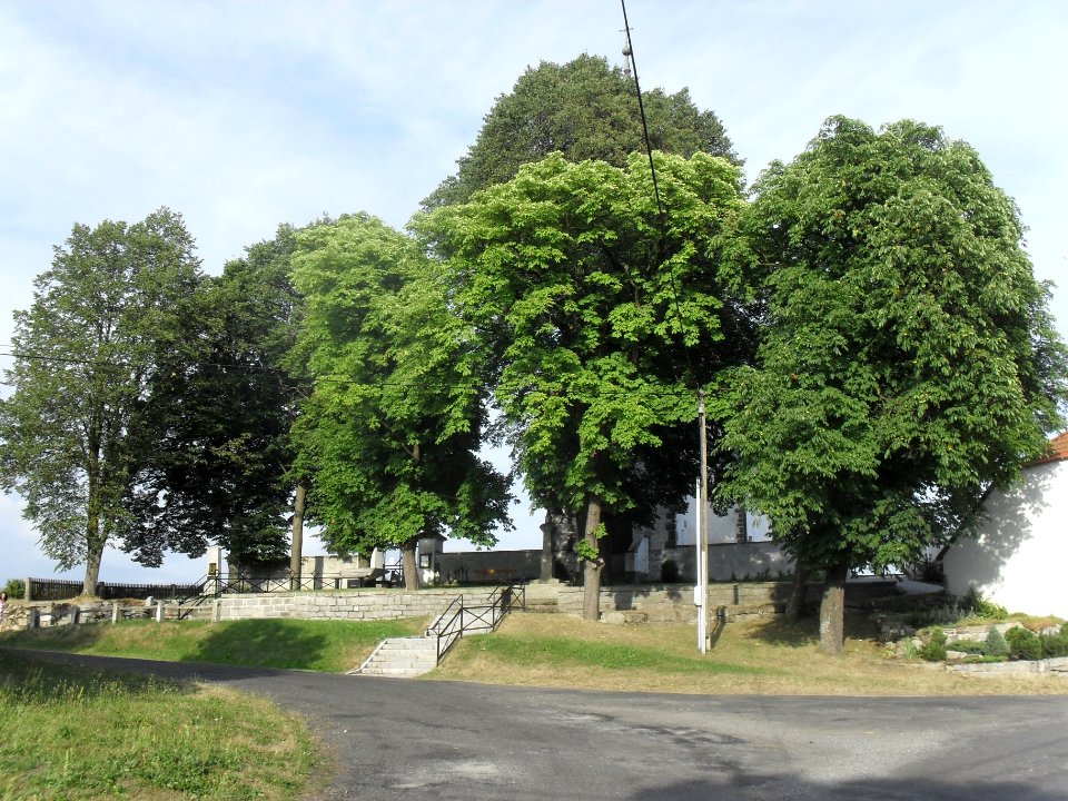 Kvášňovice 26. července 2013 42