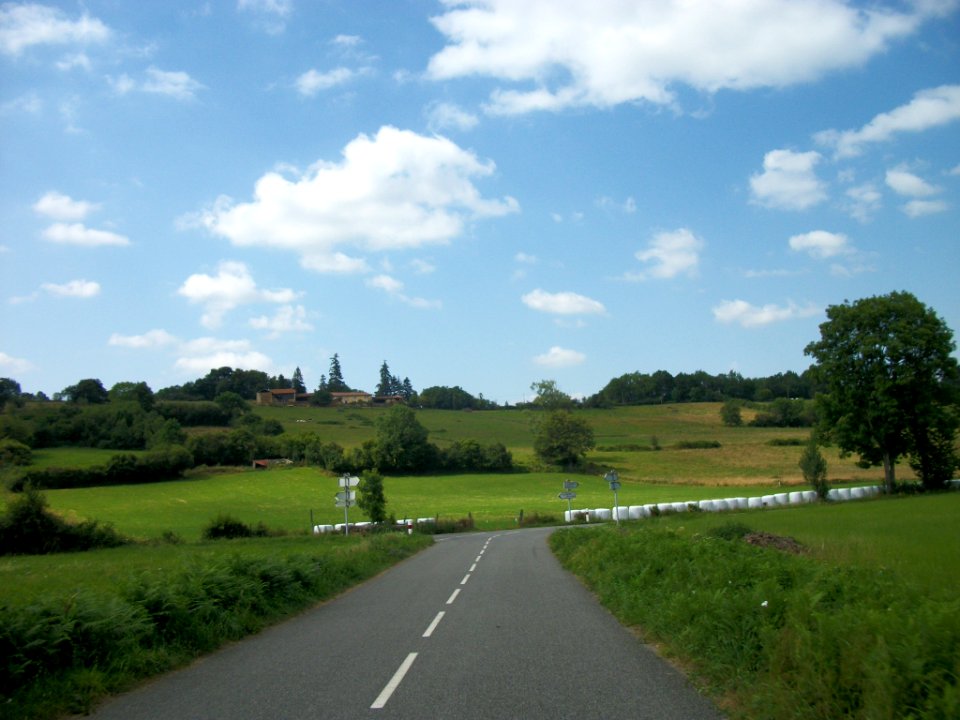 Lécussan 24