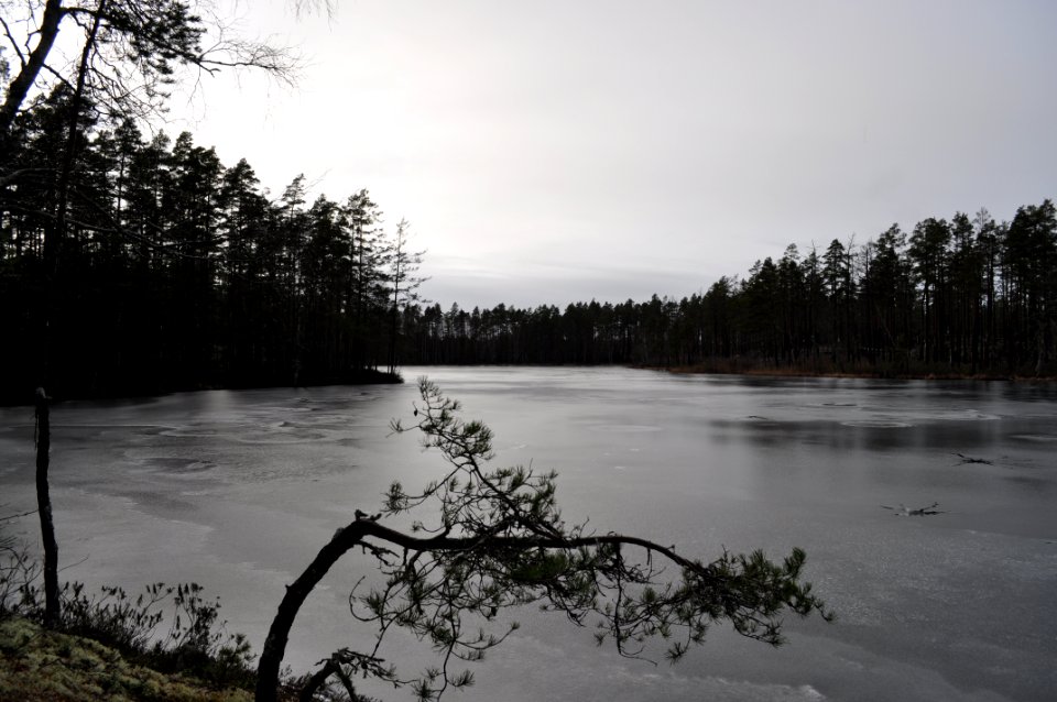 Långsjön - Varglyans naturreservat