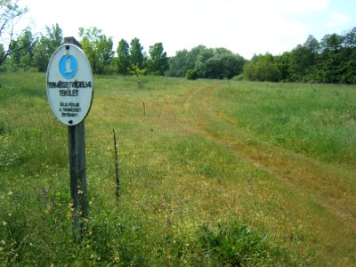 Látrányi rét 03