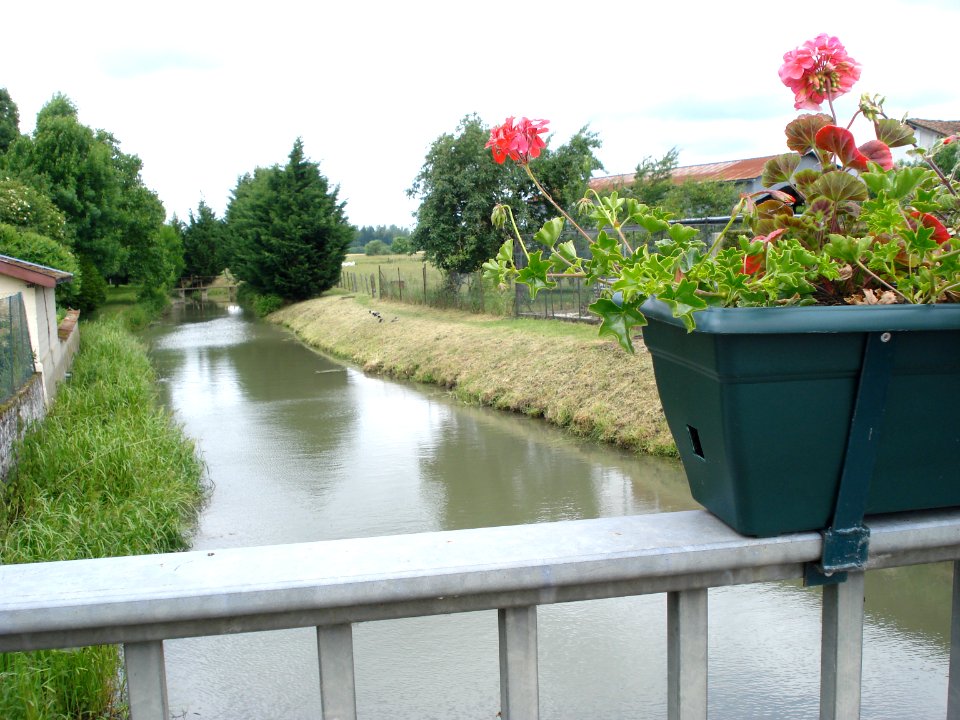 L'Isson (river) at Saint-Rémy-en-Bouzemont