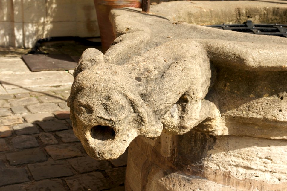 L'Homme Sauvage du puits hôtel Cluny Paris
