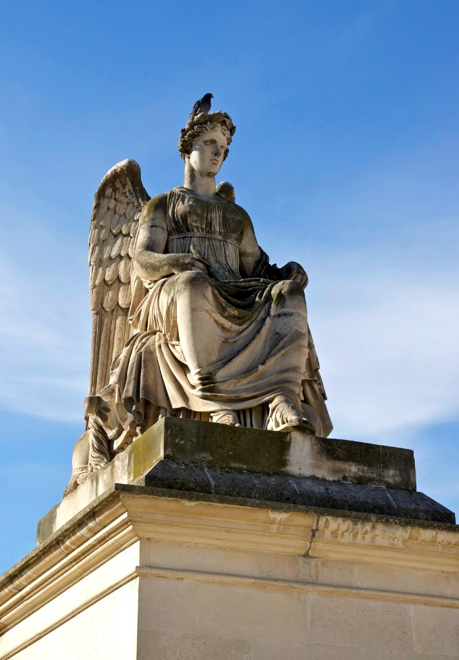 L'Histoire pigeon Carrousel