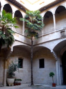 Lérida - Antiguo Hospital de Santa María-Institut d'Estudis Ilerdencs 3