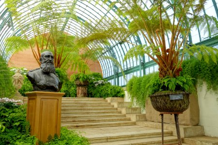 Léopold II by Thomas Vinçotte - Laeken Royal Greenhouses - Royal Castle of Laeken - Brussels, Belgium - DSC07379
