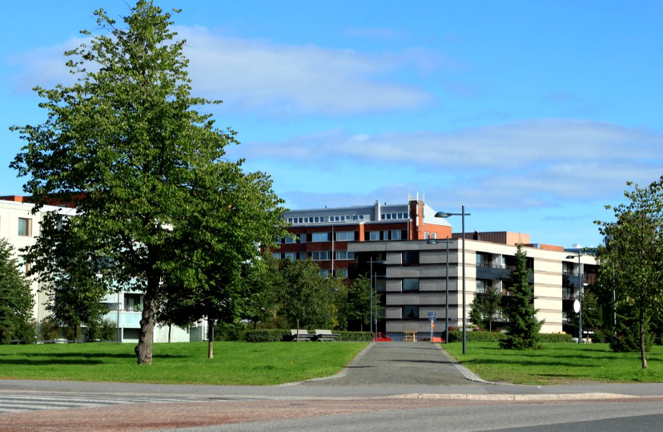 Kyösti Kallion puisto Oulu 20140830