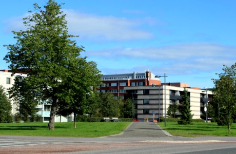 Kyösti Kallion puisto Oulu 20140830
