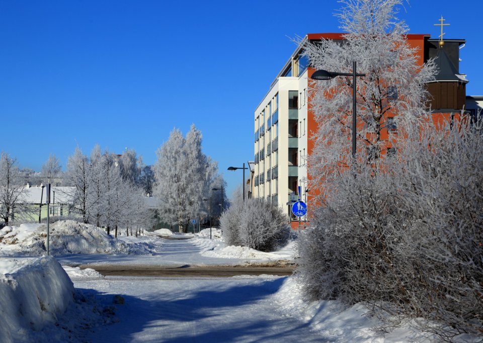 Kyösti Kallion puisto Oulu 20170307 01
