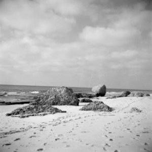 Kuststrook bij de haven van Caesarea met archeologische muurresten op het strand, Bestanddeelnr 255-1498