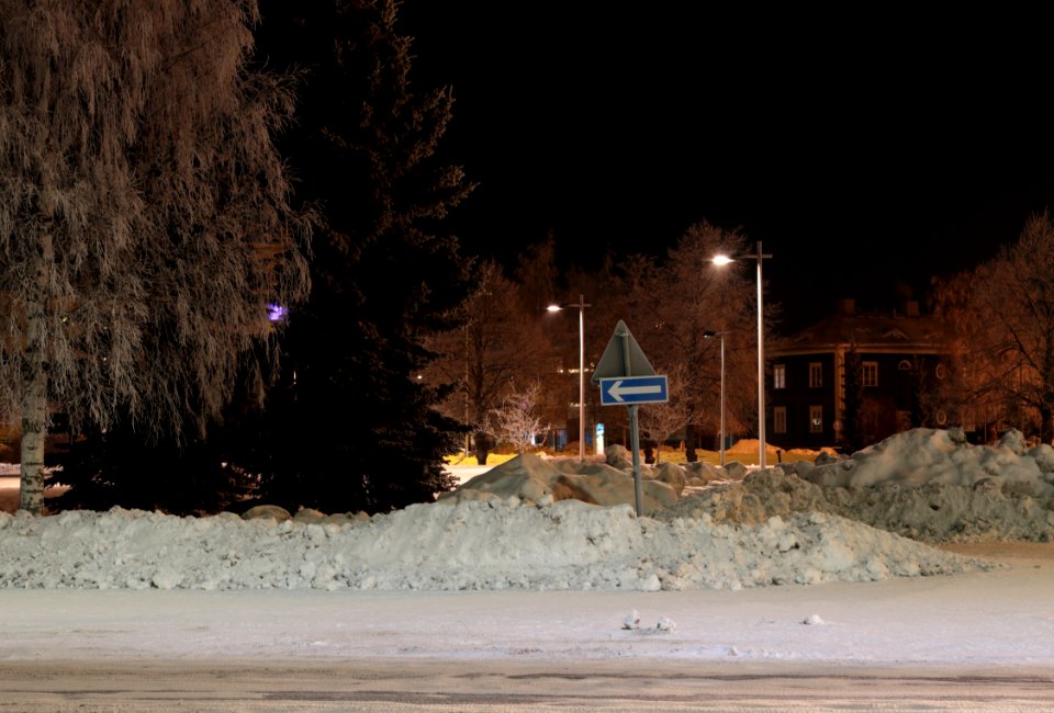 Kyösti Kallion puisto Oulu 20180110