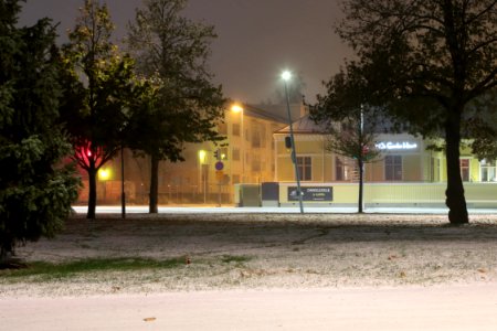 Kyösti Kallion puisto Oulu 20201021 02