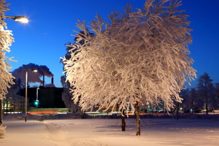 Kyösti Kallion puisto Oulu 20190123 04