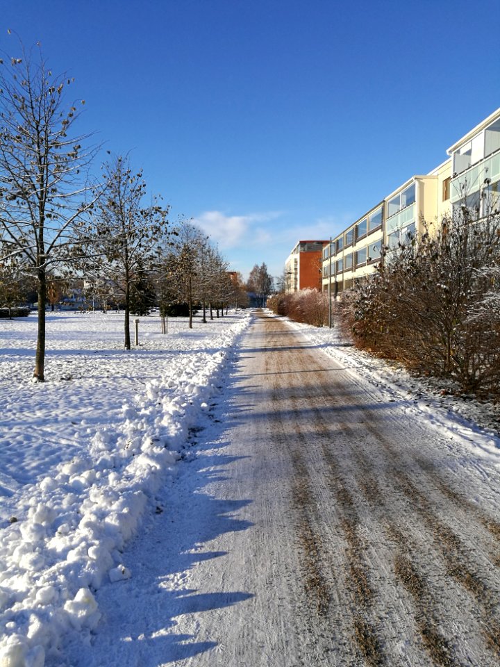 Kyösti Kallion puisto Oulu 20171031