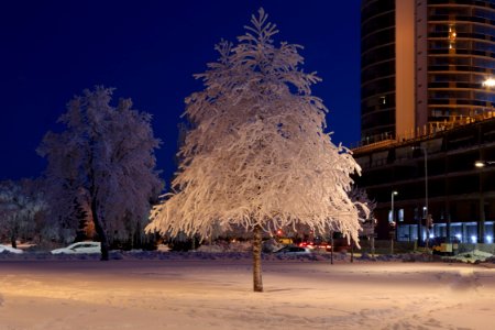 Kyösti Kallion puisto Oulu 20190123 03