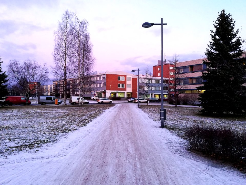 Kyösti Kallion puisto Oulu 20181129 01