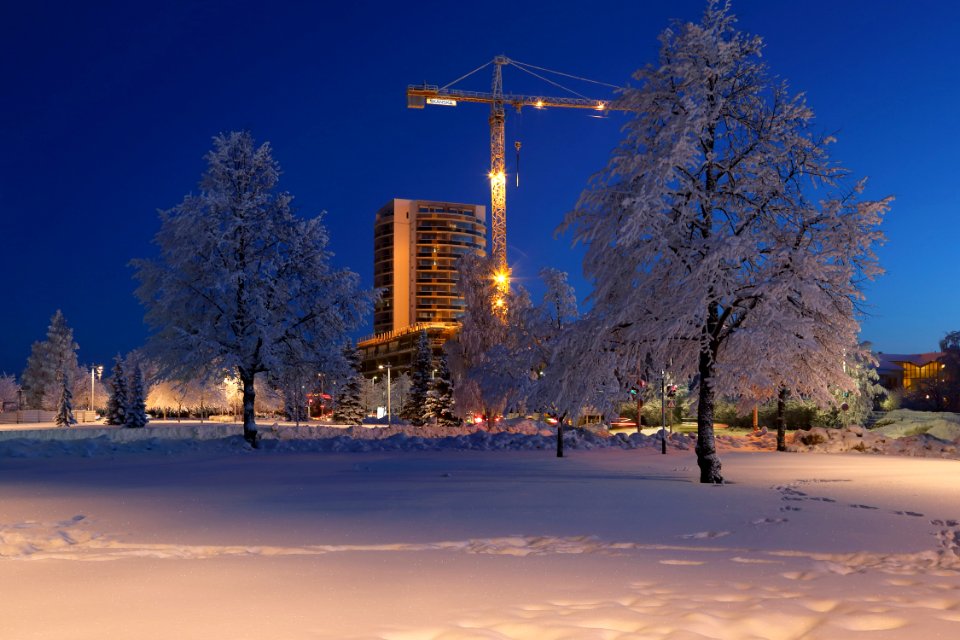 Kyösti Kallion puisto Oulu 20190123 06