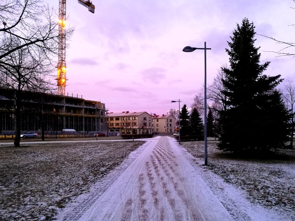 Kyösti Kallion puisto Oulu 20181129 02