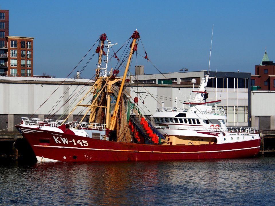 KW-145 Catharina, IMO 9370496 at IJmuiden, Port of Amsterdam