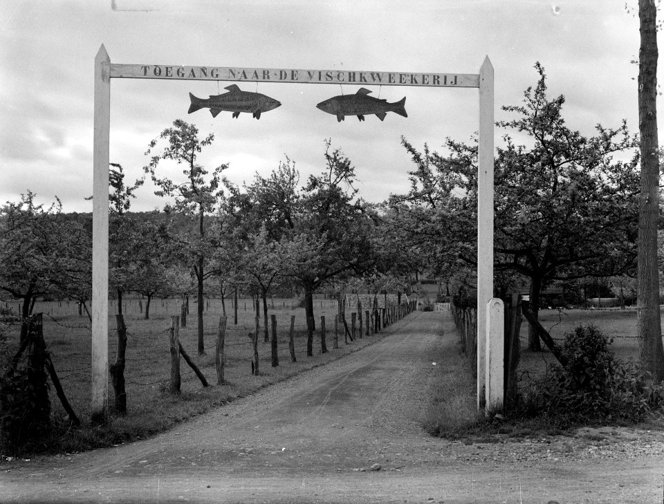 Kwekerij, Bestanddeelnr 192-0144