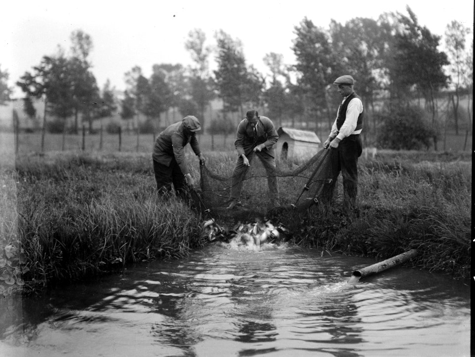 Kwekerij, Bestanddeelnr 192-0143