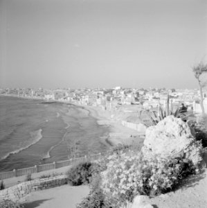 Kust bij Jaffa, Bestanddeelnr 255-2936
