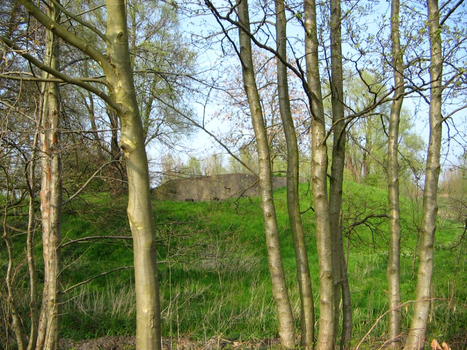 Kustbatterij bij Diemerdam 010