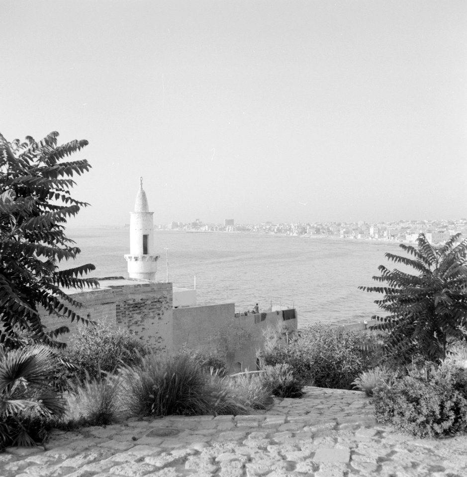 Kust bij Jaffa, met op de voorgrond een torentje, Bestanddeelnr 255-2941